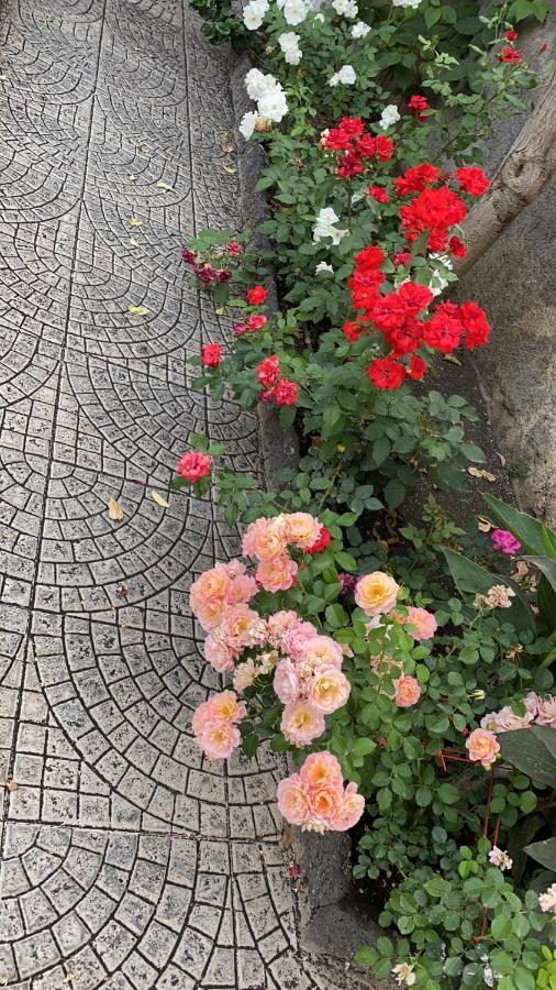 カターニア Casa Delle Roseヴィラ エクステリア 写真
